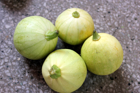 Chapan kadu PUSA DS 8, Cucurbita pepo, a summer squash with yellowish green young fruits with faint green linesの写真素材