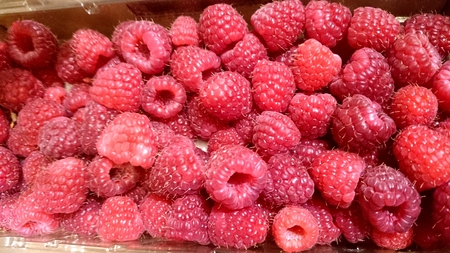 Red Raspberry, Rubus idaeus, Woody scramber with prickles, pinnate compound leaves with toothed...