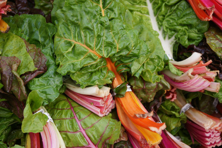 Rainbow Chard, Beta vulgaris var cicla, the sold bundles consisting of a mixture of swiss chard,...