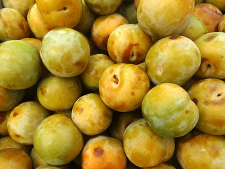 Flavor Queen pluot, Prunus Flavor Queen, interspecific plum apricot hybrid with greenish yellow skin and amber orange flesh with pleasant candy like sweet flavorの写真素材