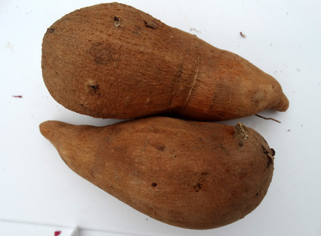 Sweet potato, Ipomoea batatas, a vine with tuberous roots used as vegetable, skin brown to reddish, flesh creamish white, sweet, eaten baked as chatの写真素材