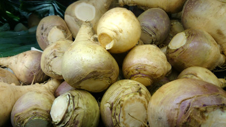 Rutabaga, Swedish turnip, Brassica napus rapifera (Brassica napus napobrassica), root vegetable...