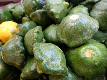 Dark green patty pan squash, Cucurbita pepo, cultivar with small dark green top shaped fruits with slightly winged margins, cooked as vegetable,の写真素材