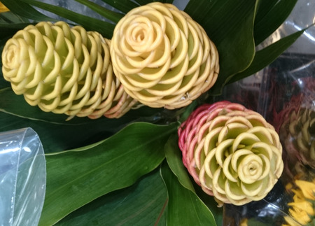 Zingiber spectabile, Beehive ginger, Malaysian ginger, perennial herb with green tapering leaves and yellow spike, often tinged red, with bracts open above giving appearance of beehiveの写真素材