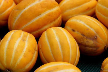 Cucumis melo var conomon, Korean star melon, often placed in var. makuwa, golden yellow melon with white to silvery suture lines and crisp white sweet flesh Cucumis melo var conomon, Korean star melon, often placed in var. makuwa, golden yellow melon with white to silvery suture lines and crisp white sweet flesh