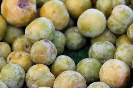 Flavor Queen pluot, Prunus Flavor Queen, interspecific plum apricot hybrid with greenish yellow skin and amber orange flesh with pleasant candy like sweet flavorの写真素材