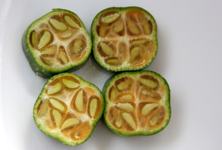 Section of young fruit of Coccinia grandis, Ivy gourd, Baby watermelon, Kundru, three chambered fruit with parietal placentas, the pulp and finally skin turn red as the fruit ripens, used unripe as vegetableの写真素材