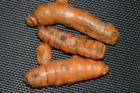 Rhizomes of Yellow Turmeric, Curcuma longa, orange yellow inside, dried powder used in curries, medicinal and coloring material.の写真素材