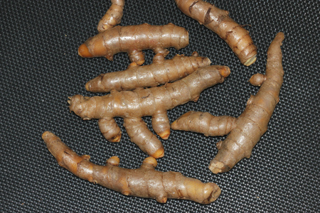 Rhizomes of White Turmeric, Zedoary, Curcuma zedoaria, thinner than yellow turmeric and light yellow inside, used fresh in pickling, dried powder in curry pastes.の写真素材