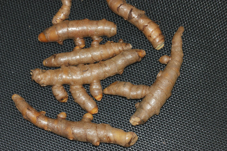 Rhizomes of White Turmeric, Zedoary, Curcuma zedoaria, thinner than yellow turmeric and light yellow inside, used fresh in pickling, dried powder in curry pastes.の写真素材