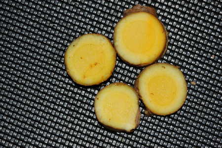 Section of rhizome of White Turmeric, Zedoary, Curcuma zedoaria, thinner than yellow turmeric and light yellow inside, used fresh in pickling, dried powder in curry pastes.の写真素材