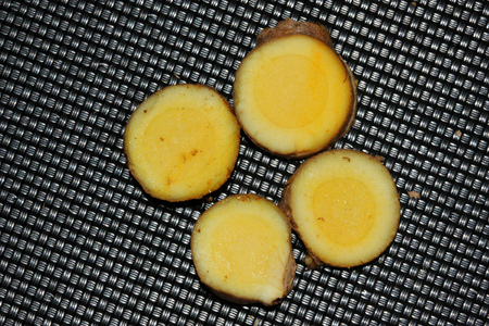 Section of rhizome of White Turmeric, Zedoary, Curcuma zedoaria, thinner than yellow turmeric and light yellow inside, used fresh in pickling, dried powder in curry pastes.の写真素材