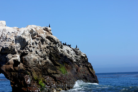 Bridge formation at Natural Bridges Beach California, frequented by sea gulls, surfing waves stricking along the rocksの写真素材
