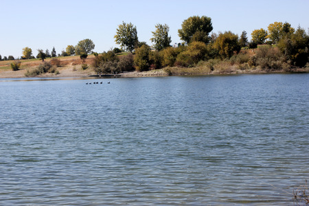 Quarry Lake, Fremont, California recreational area with facilities for swimming, fishing and boating, with several birds around, marked area for swimming along the beach.の写真素材