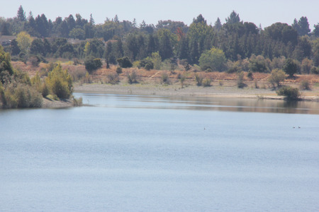 Quarry Lake, Fremont, California recreational area with facilities for swimming, fishing and boating, with several birds around, marked area for swimming along the beach.の写真素材