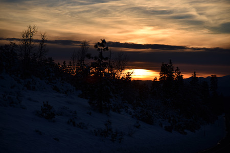 Sunset view from Shasta Road on Christmas day, snow covered slopes and pine trees, orange clouds above mountains and blue sky.の写真素材