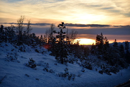Sunset view from Shasta Road on Christmas day, snow covered slopes and pine trees, orange clouds above mountains and blue sky.の写真素材
