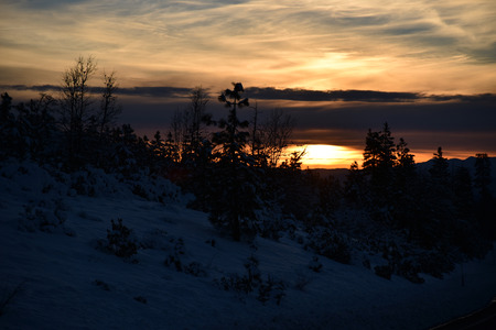 Sunset view from Shasta Road on Christmas day, snow covered slopes and pine trees, orange clouds above mountains and blue sky.の写真素材