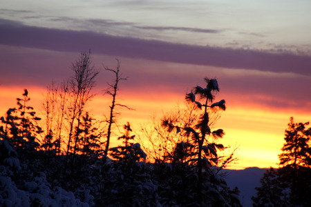 Sunset view from Shasta Road on Christmas day, snow covered slopes and pine trees, orange clouds above mountains and blue sky.の写真素材