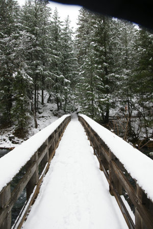 Burney Creek Bridge, snow covered bridge over the stream near Burney falls, foot bridge in McArthurBurney Falls Memorial State Park California, USAの写真素材