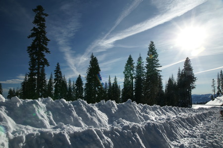 Mount Shasta road, California, USA, covered with snow along both sides with beautiful view of tall conifer trees, clear skies, famous tourist destination.の写真素材