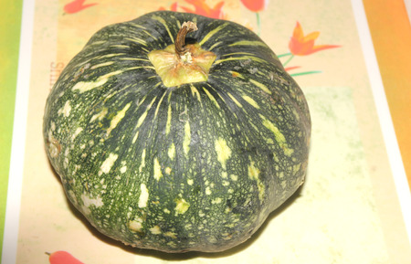 Ayote squash, kadu, Winter squash, Cucurbita moschata, globose to oblong fruit with tough green skin with yellowish-white spots,Flesh initially white, turning yellow when mature, vegetable cropの写真素材