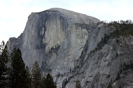 Half Dome, Yosemite National Park, California, seen from Curry Village Parking Lot, dome shaped granite rock with vertically cut front rising 1444 m above valley floor.の写真素材
