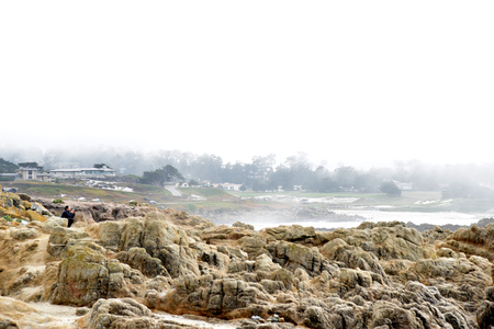 Pebble Beach, 17 Mile Drive, California, USA, scenic coastline, rocky terrain, merging into sandy beaches and surfing sea waterの写真素材