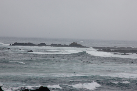 Sea Shore near Bird Rock, Pebble Beach, 17 Mile Drive, California, USA, popular visitor destination, mid sea huge rock with numerous birds, sea otters and sea lions.の写真素材