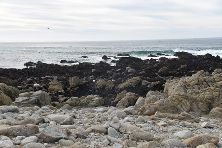 Sea Shore along China Rock, 17 Mile Drive, California, USA, a place is where Chinese immigrant fishermen used to make their homes in 1800s and early 1900の写真素材