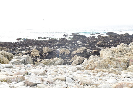 Sea Shore along China Rock, 17 Mile Drive, California, USA, a place is where Chinese immigrant fishermen used to make their homes in 1800s and early 1900のeditorial素材