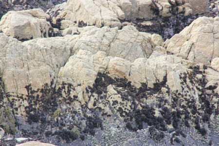 Boulders along China Rock, 17 Mile Drive, California, USA, a place is where Chinese immigrant fishermen used to make their homes in 1800s and early 1900の写真素材