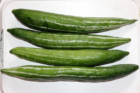 Snake gourd, Serpent gourd, Chichinda, Trichosanthes cucumerina var. anguina, cultivated vine with up to 2 m long fruit with white stripes, turning red when mature, used as vegetable.の写真素材
