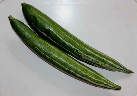 Snake gourd, Serpent gourd, Chichinda, Trichosanthes cucumerina var. anguina, cultivated vine with up to 2 m long fruit with white stripes, turning red when mature, used as vegetable.の写真素材