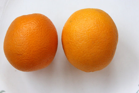 Malta, Citrus sinensis, a popular fruit grown in Foothills of NW Himalayas with globose orange fruit with orange-yellow pulp, sweet and deliciousの写真素材