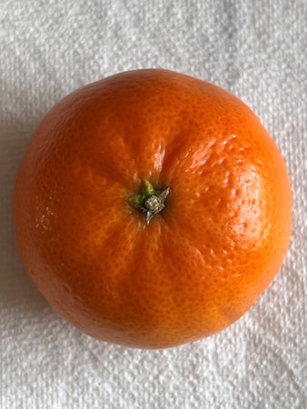 Small fruited Clementine marketed as ClemenGold, orange mandarin hybrid with orange gold thin slightly adhering but easily separable rind, segments juicy sweet and less acidic.の写真素材