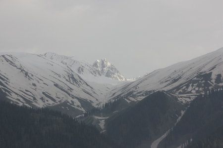 Apharwat Mountain slopes seen from Gulmarg, Kashmir, snowing melting from lower slopes, a favorite tourist destination.の写真素材