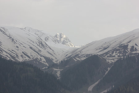 Apharwat Mountain slopes seen from Gulmarg, Kashmir, snowing melting from lower slopes, a favorite tourist destination.の写真素材