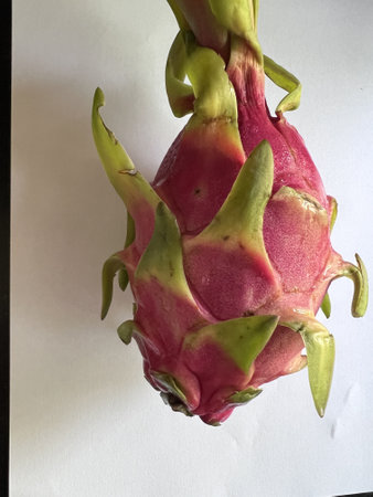 Dragon Fruit with bracteoles, Selenicereus undatus oval fruit, white fresh, small black seeds and pink to red skin, grown as ornamental vine as well as food crop.の写真素材