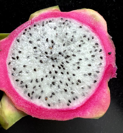 Cross section of Dragon Fruit, Selenicereus undatus showing white fresh, small black seeds and pink to red skin, grown as ornamental vine as well as food crop.の写真素材