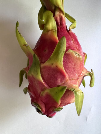 Dragon Fruit with bracteoles, Selenicereus undatus oval fruit, white fresh, small black seeds and pink to red skin, grown as ornamental vine as well as food crop.の写真素材