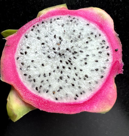 Cross section of Dragon Fruit, Selenicereus undatus showing white fresh, small black seeds and pink to red skin, grown as ornamental vine as well as food crop.の写真素材