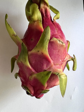 Dragon Fruit with bracteoles, Selenicereus undatus oval fruit, white fresh, small black seeds and pink to red skin, grown as ornamental vine as well as food crop.の写真素材