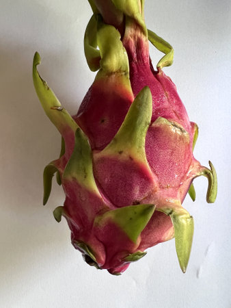 Dragon Fruit with bracteoles, Selenicereus undatus oval fruit, white fresh, small black seeds and pink to red skin, grown as ornamental vine as well as food crop.の写真素材