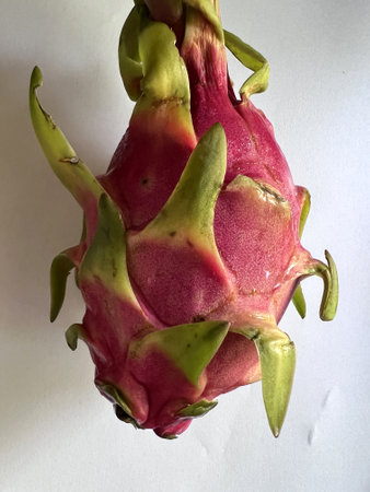 Dragon Fruit with bracteoles, Selenicereus undatus oval fruit, white fresh, small black seeds and pink to red skin, grown as ornamental vine as well as food crop.の写真素材