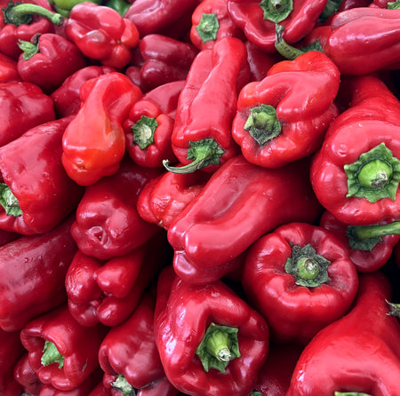 Red Bell Pepper, Capsicum annuum, cultivar of Sweet Pepper with bright red color with mild sweet flavor and crunchy taste. , excellent source of Vitamin C.の写真素材