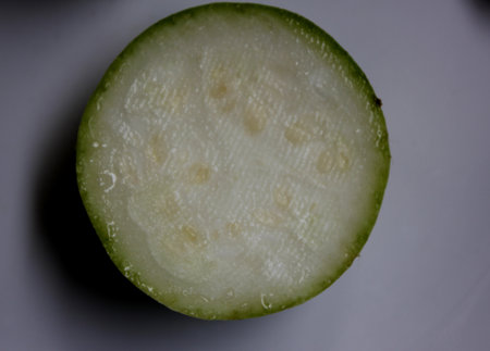 Indian Squash, Round melon, Benincasa fistulosa, popular Indian fruit vegetable, a herbaceous vine with 5-8 cm across globose fruits, green rind and white flesh.の写真素材