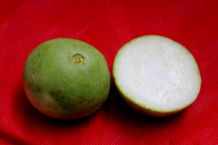 Indian Squash, Round melon, Benincasa fistulosa , popular Indian fruit vegetable, a herbaceous vine with 5-8 cm across globose fruits, green rind and white flesh.の写真素材