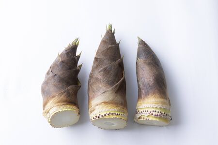 Fresh and delicious bamboo shoots lined upの写真素材