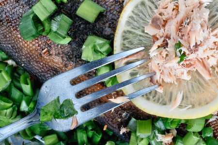 Salmon roasted in foil. Delicate slices of fish on a luscious lime slice sprinkled with green onions. A fork on the lobule of a lemon. View from above.の写真素材